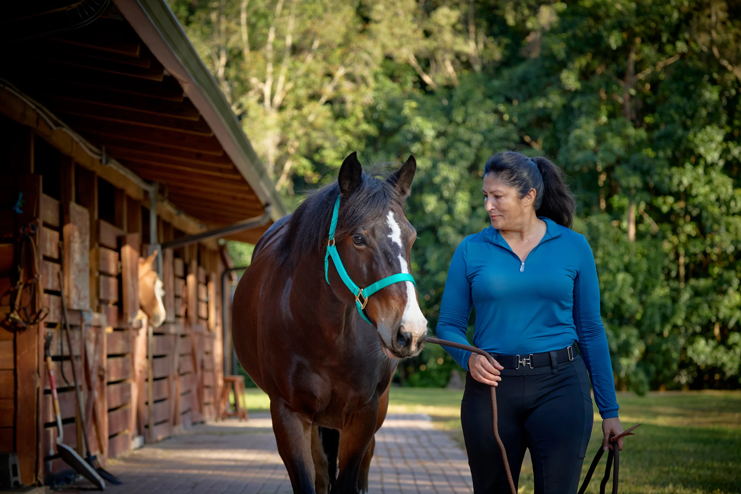 1774902_IMC_PH-EquineFY25_20241211_01379-1-1