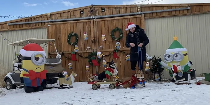 Canter Haven Farm_corgi christmas minions