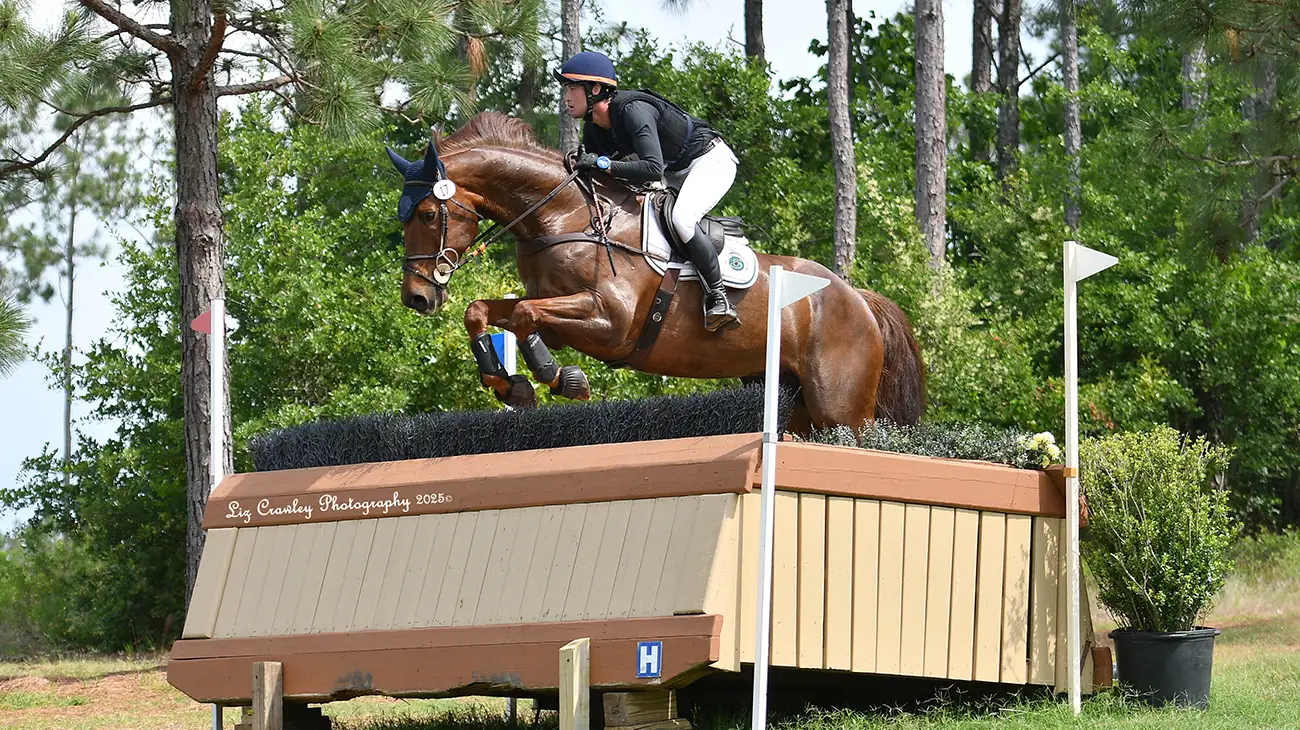 Cole-Horn-Cooley-Permission-To-Land-Liz-Crawley