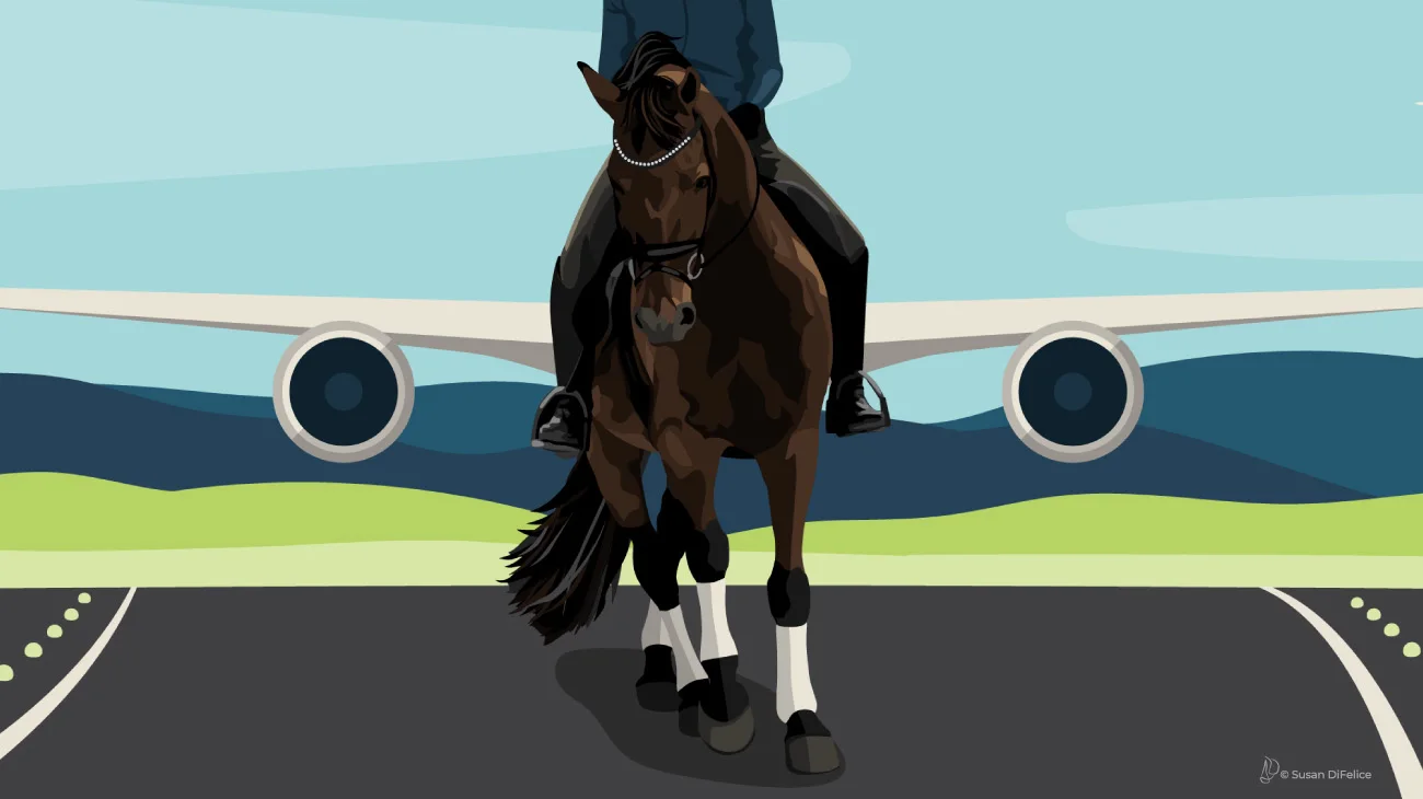 COTHbannerAirplaneWingsWebSize