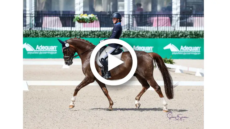 Diamond Dunes Fiona Howard slider