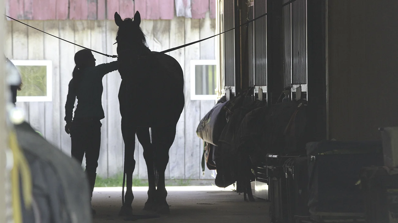 Grooming-in-aisle-Jump-Media