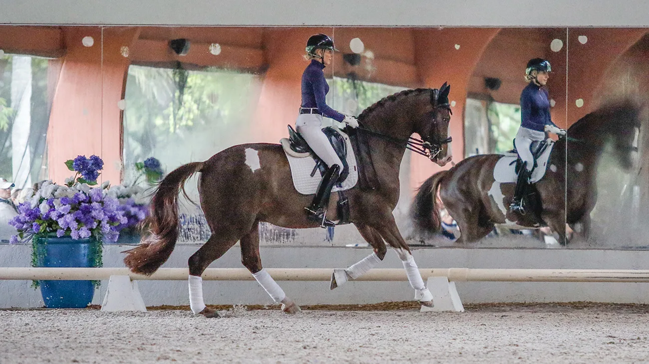 I Spy's uphill canter