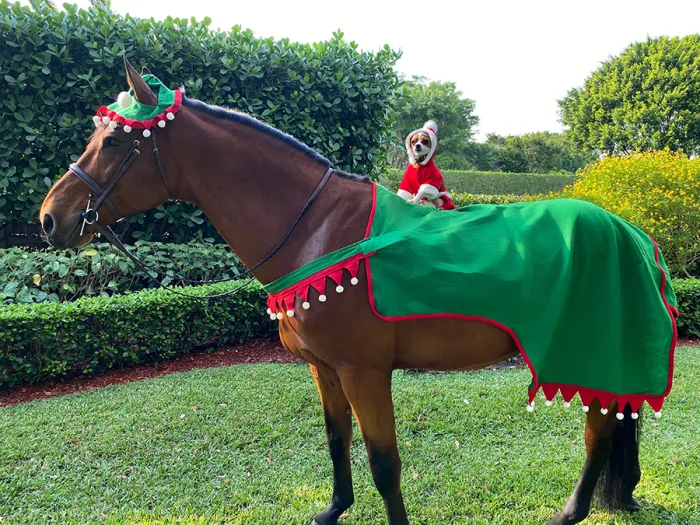 Irish Coffee and Nigel_Claire Stevenson