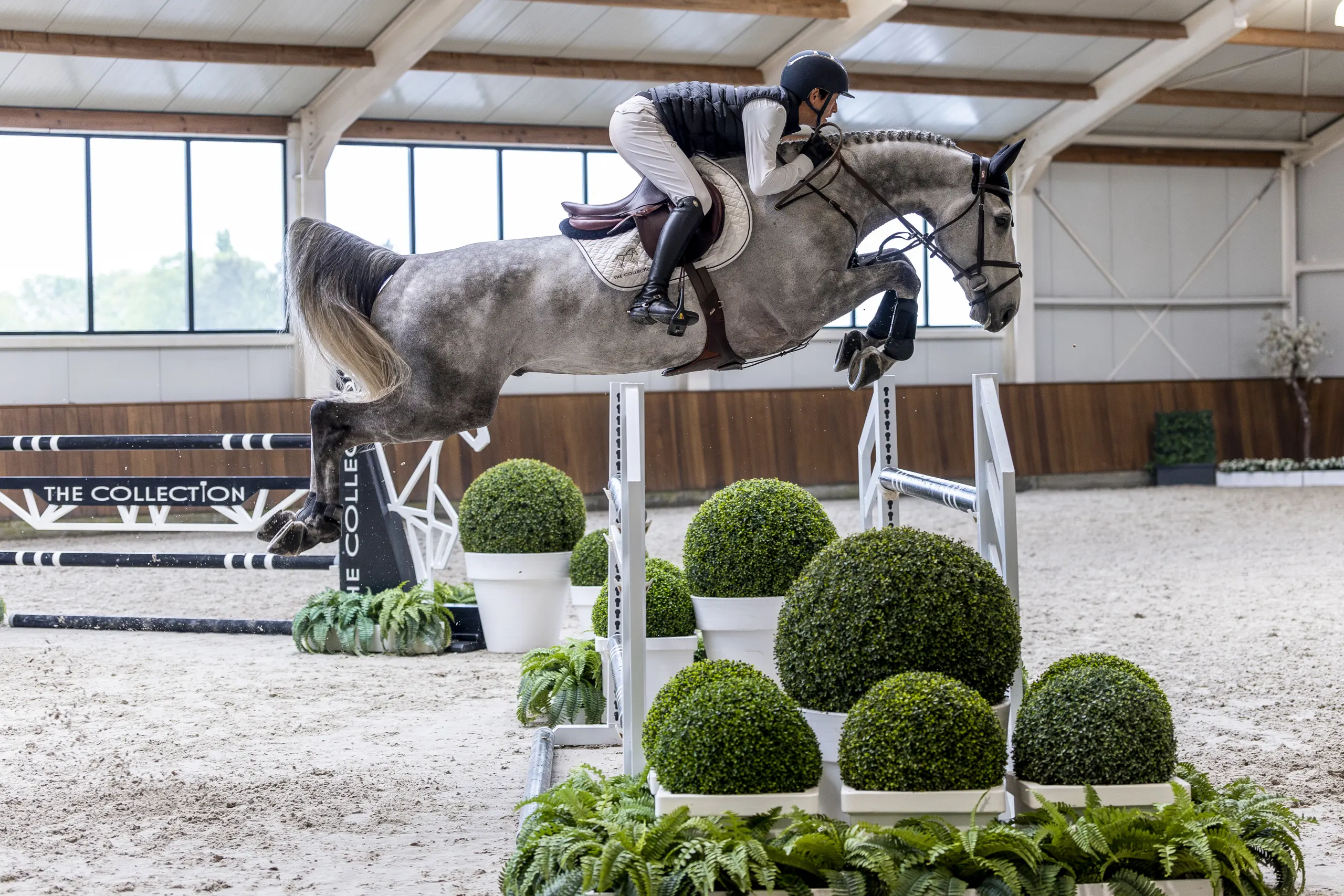 Jaguar-TIEN25L00841-Verbeterd-NR