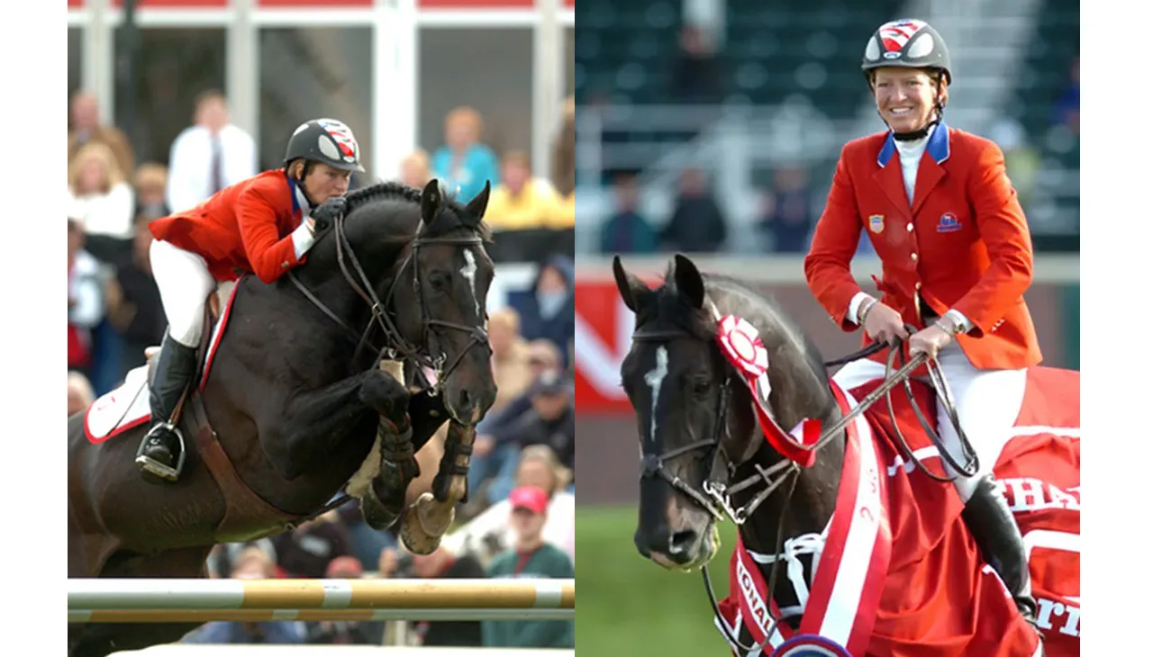 judgment International TBT