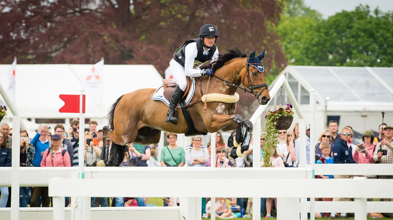 Jung Badminton16 Brinkman slider