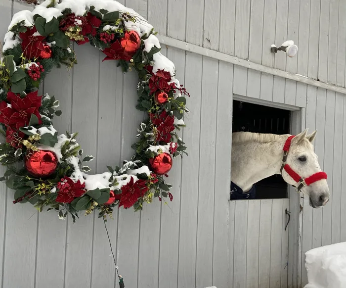 Leroy_Hallie Brooks_image1-16