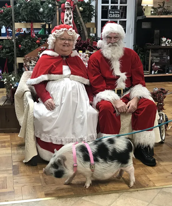 Miss Piggy_Katie Hasse