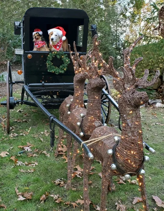 Myrlie and Cutty_Kathy Pinera