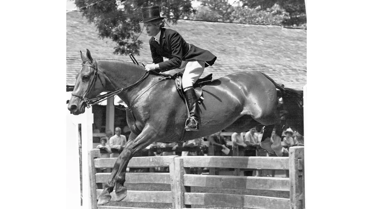 Sallie Wheeler Isglide Howard Allen slider