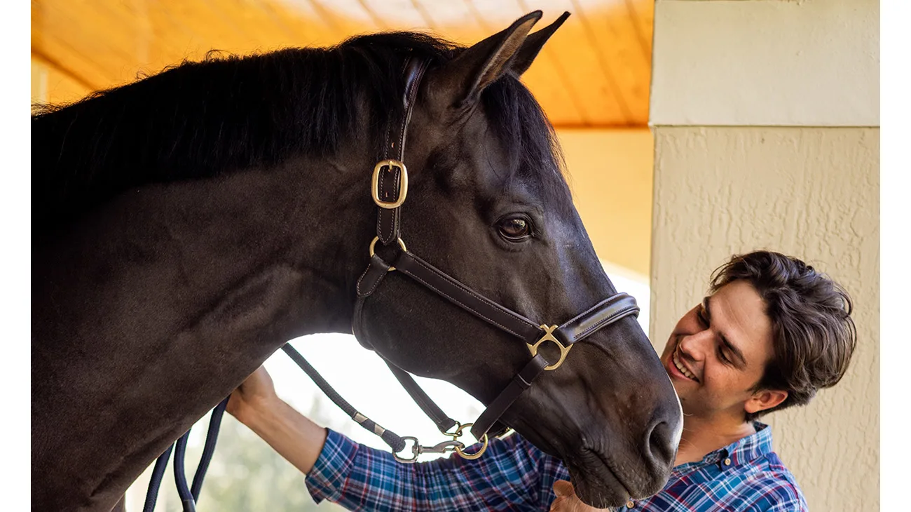 Simonson Rocky slider