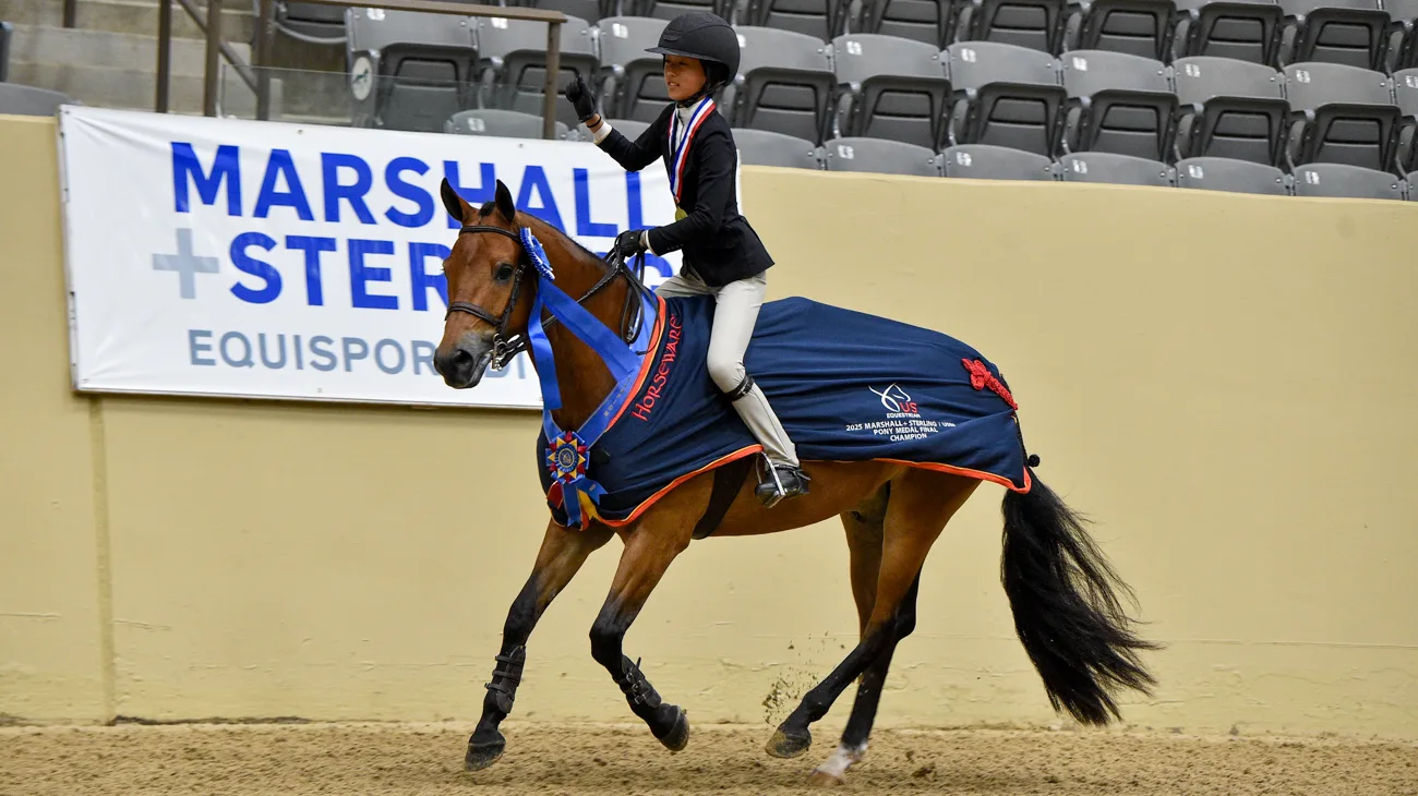 Slider Cisy Zhou-1500