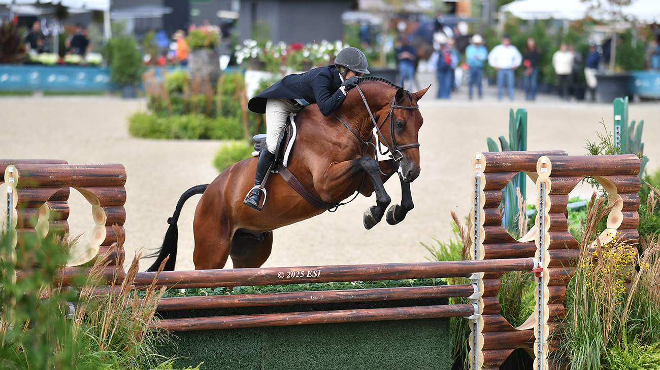 sliderHavenSchatt_ChaquistoBluePS_ESI