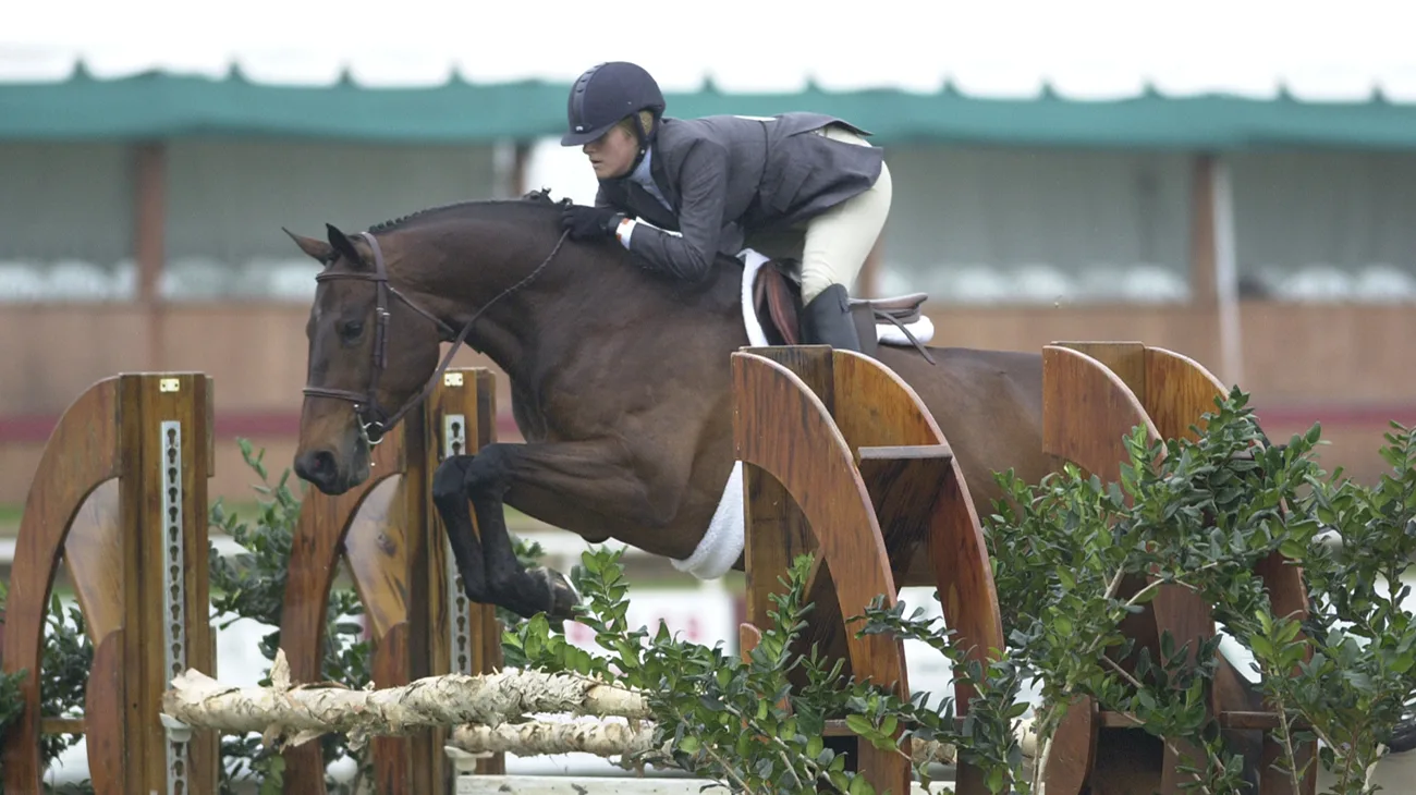 Strapless Clara Lindner tricia Booker slider