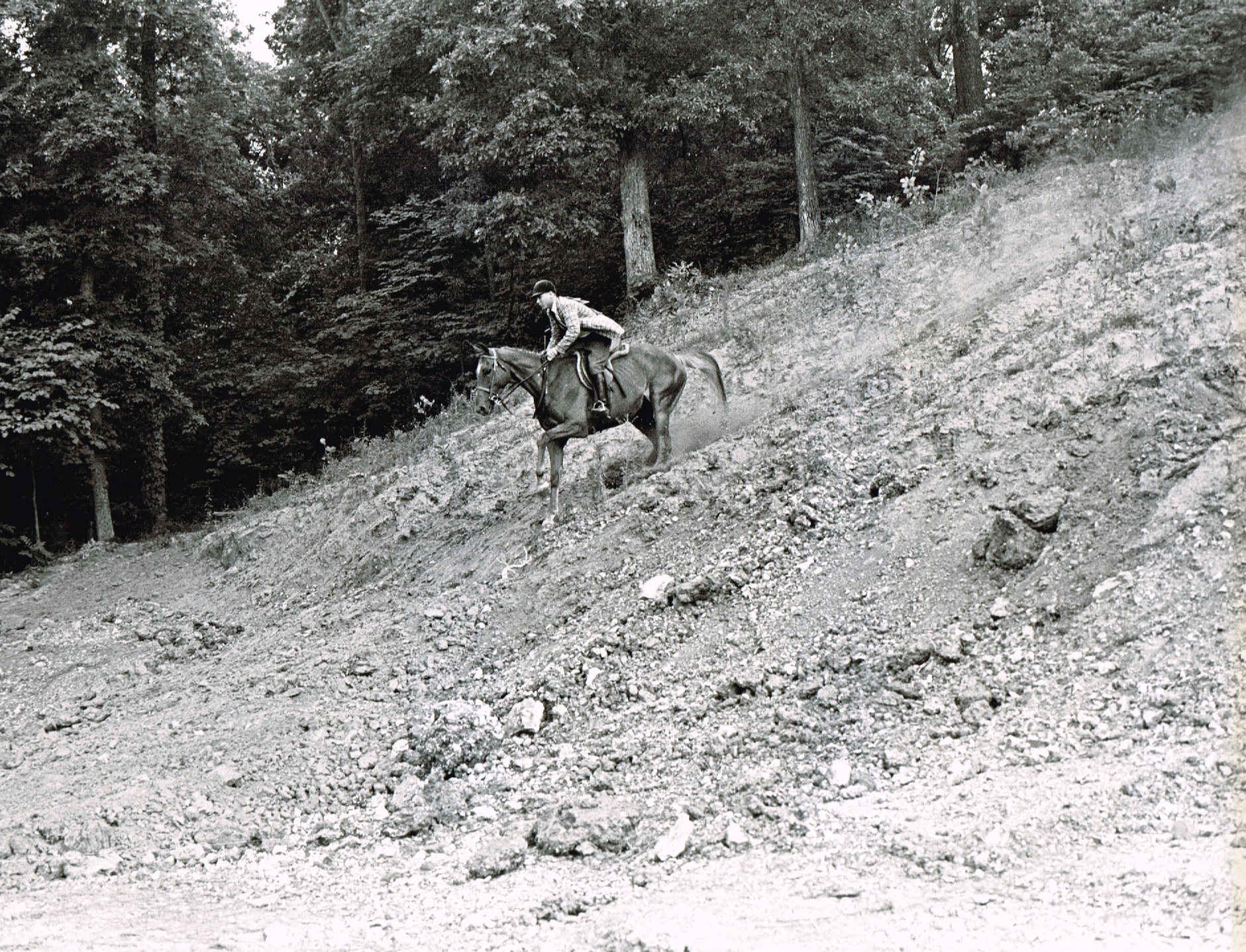 Ron Burton on Sea Breeze negotiating the slide in the Handy Hunter Working class. They won the third place ribbon. Chronicle File Photo