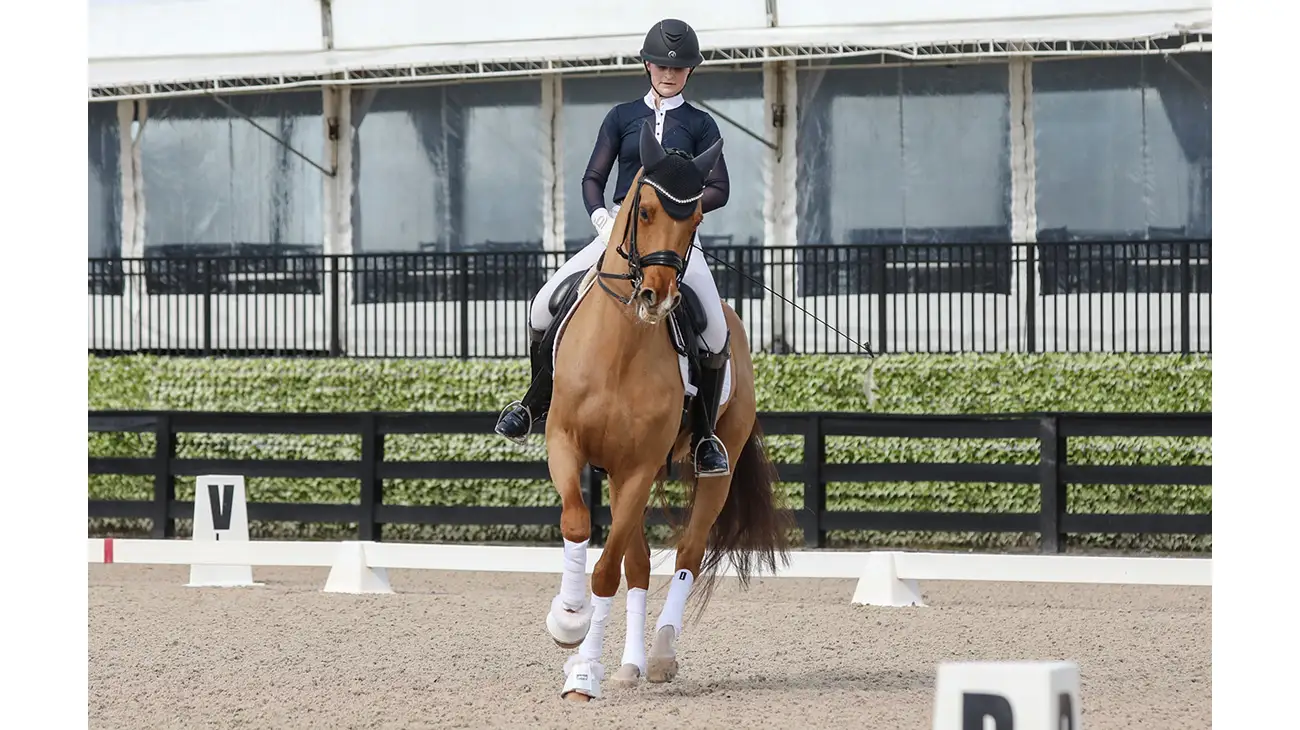 Training series slider