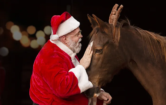 Virginia Equine Welfare Society