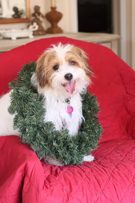 Wesley_Natalie Spalding